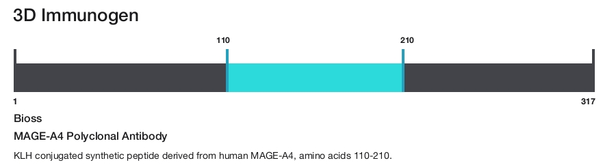 MAGE-A4 Polyclonal Antibody