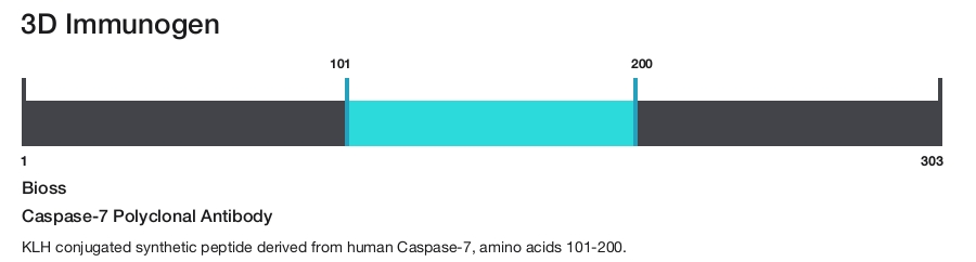 Caspase-7 Polyclonal Antibody