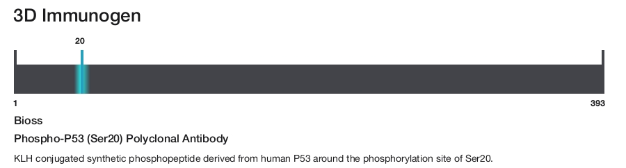 Phospho-P53 (Ser20) Polyclonal Antibody