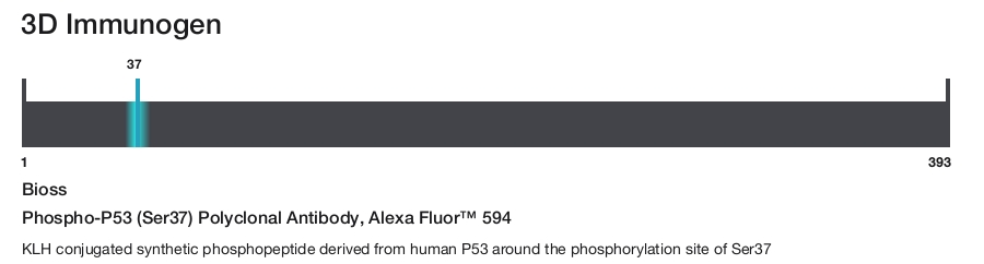 Phospho-P53 (Ser37) Polyclonal Antibody, Alexa Fluor&trade; 594