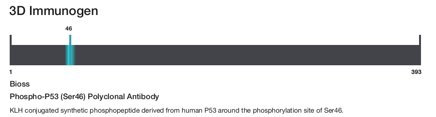 Phospho-P53 (Ser46) Polyclonal Antibody