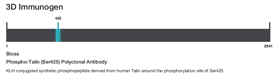 Phospho-Talin (Ser425) Polyclonal Antibody