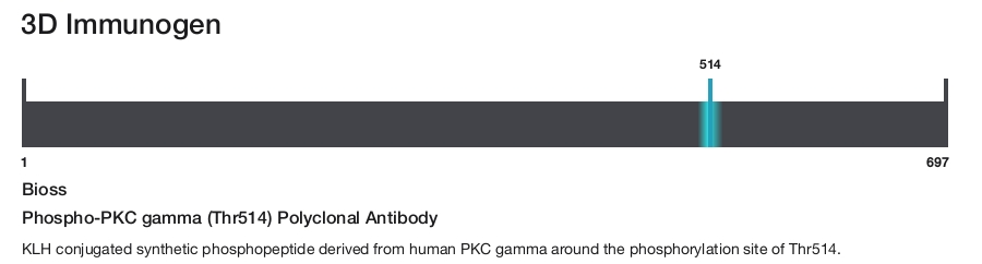 Phospho-PKC gamma (Thr514) Polyclonal Antibody