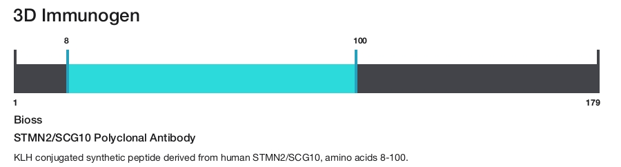 STMN2/SCG10 Polyclonal Antibody