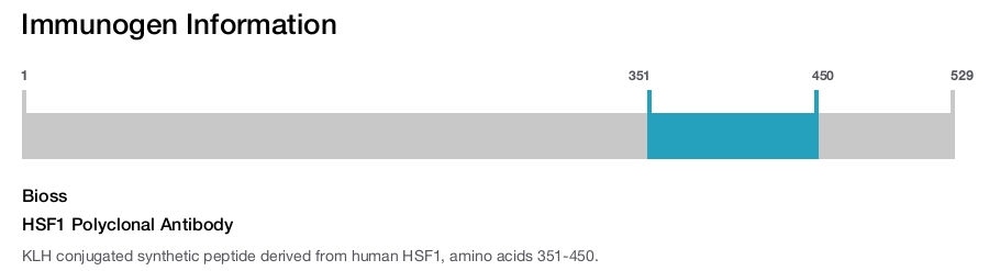 HSF1 Polyclonal Antibody