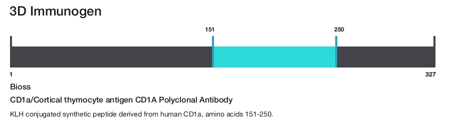 CD1a/Cortical thymocyte antigen CD1A Polyclonal Antibody