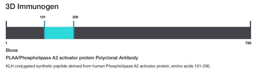 PLAA/Phospholipase A2 activator protein Polyclonal Antibody