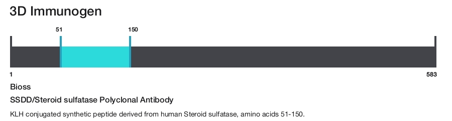 SSDD/Steroid sulfatase Polyclonal Antibody