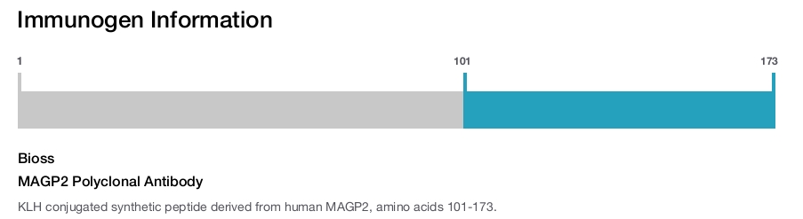 MAGP2 Polyclonal Antibody