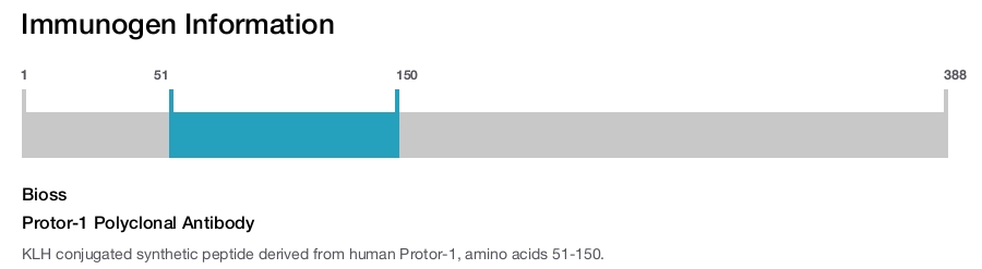 Protor-1 Polyclonal Antibody