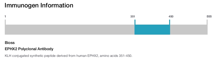 EPHX2 Polyclonal Antibody