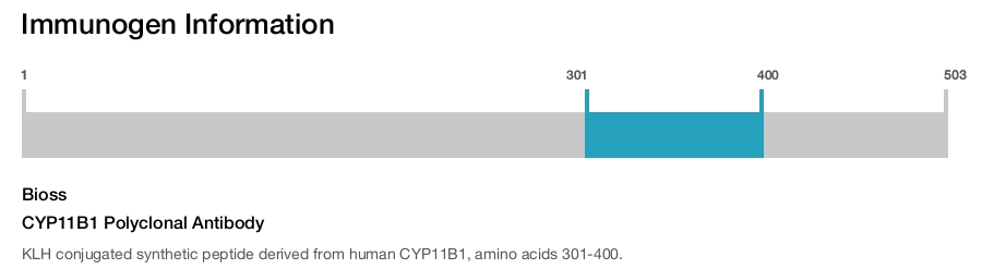 CYP11B1 Polyclonal Antibody