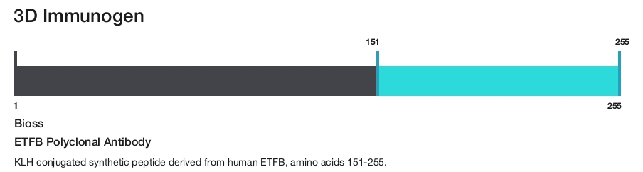 ETFB Polyclonal Antibody