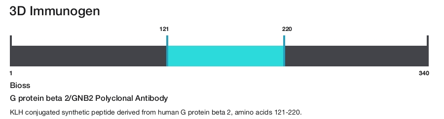 G protein beta 2/GNB2 Polyclonal Antibody
