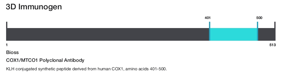 COX1/MTCO1 Polyclonal Antibody