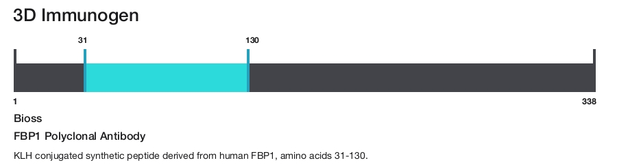 FBP1 Polyclonal Antibody
