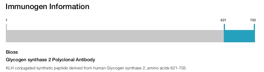 Glycogen synthase 2 Polyclonal Antibody