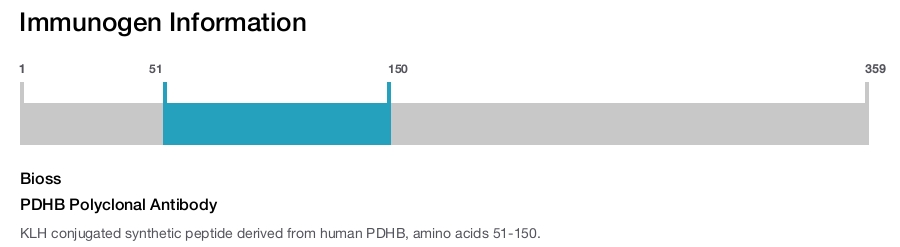 PDHB Polyclonal Antibody