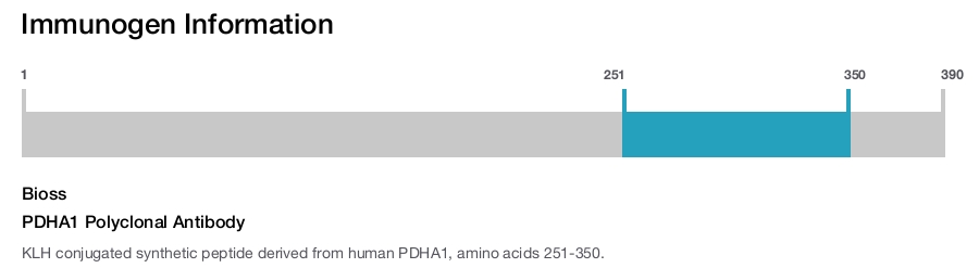 PDHA1 Polyclonal Antibody