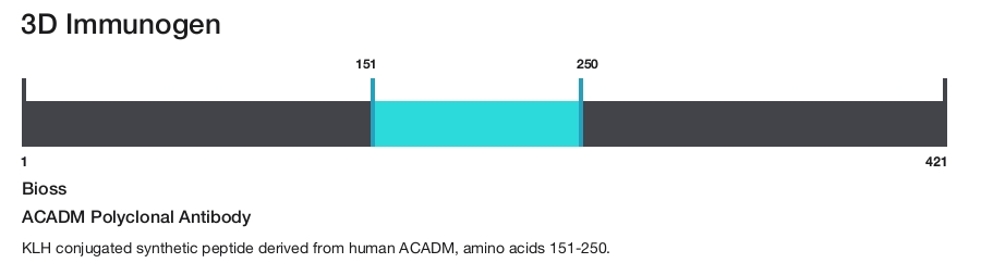 ACADM Polyclonal Antibody