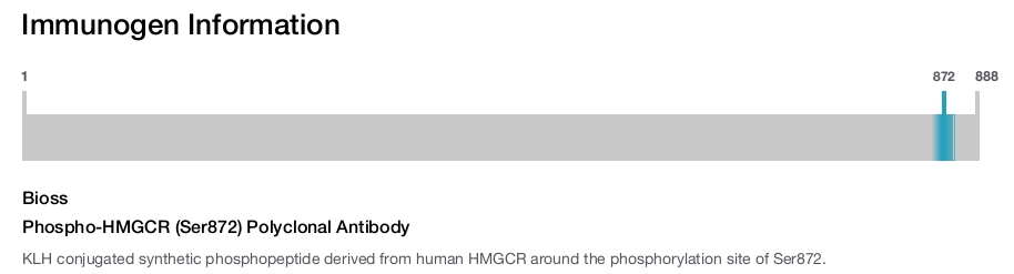 Phospho-HMGCR (Ser872) Polyclonal Antibody