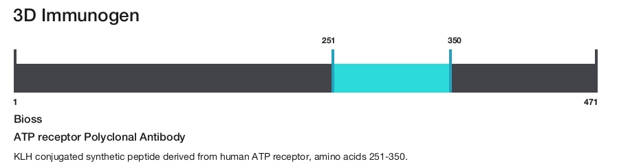 ATP receptor Polyclonal Antibody