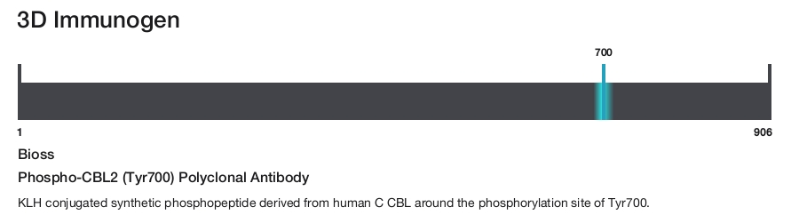 Phospho-CBL2 (Tyr700) Polyclonal Antibody