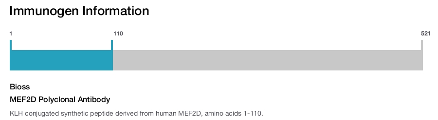 MEF2D Polyclonal Antibody