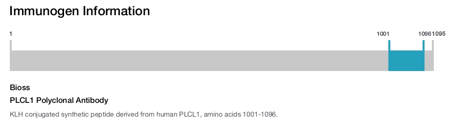 PLCL1 Polyclonal Antibody