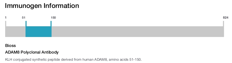 ADAM8 Polyclonal Antibody