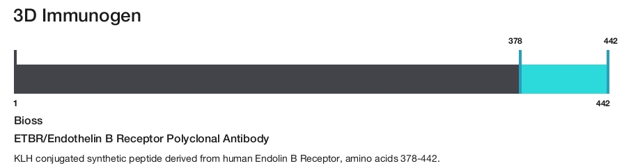 ETBR/Endothelin B Receptor Polyclonal Antibody