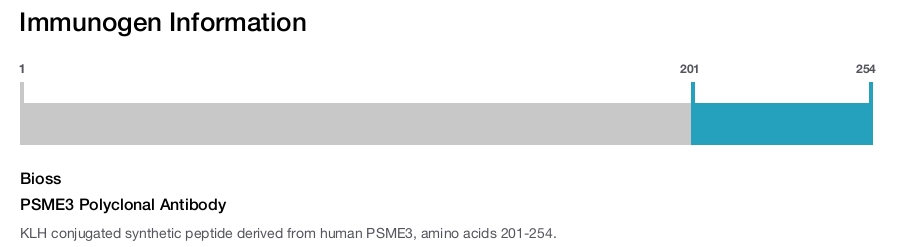 PSME3 Polyclonal Antibody