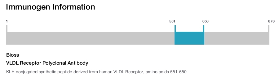 VLDL Receptor Polyclonal Antibody