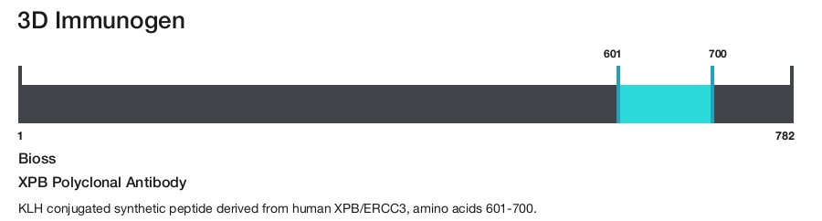 XPB Polyclonal Antibody