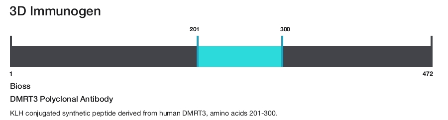 DMRT3 Polyclonal Antibody