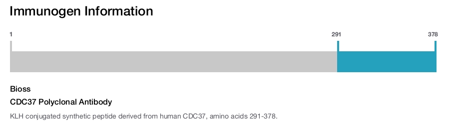 CDC37 Polyclonal Antibody