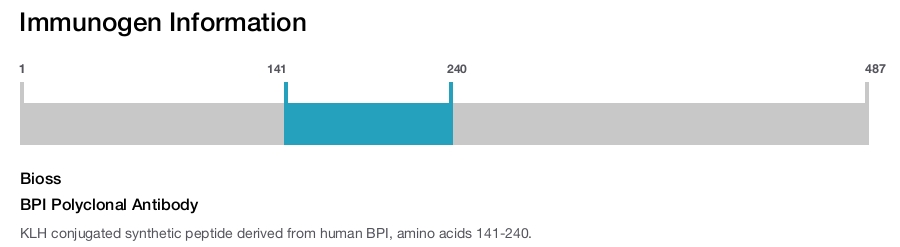 BPI Polyclonal Antibody