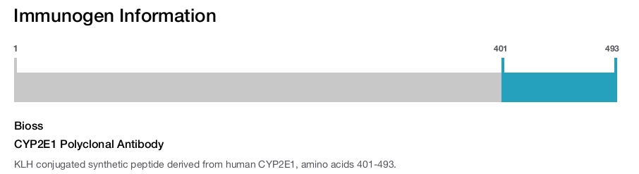 CYP2E1 Polyclonal Antibody