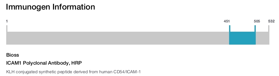 ICAM1 Polyclonal Antibody, HRP