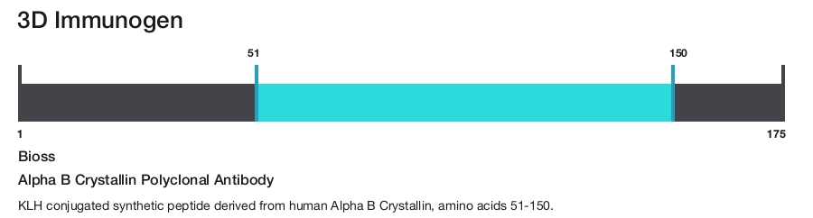 Alpha B Crystallin Polyclonal Antibody