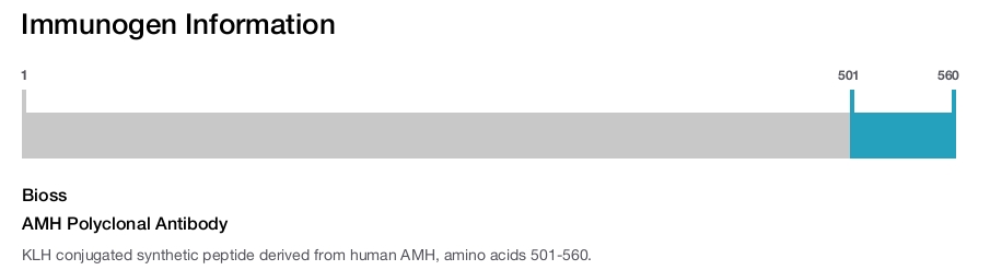 AMH Polyclonal Antibody