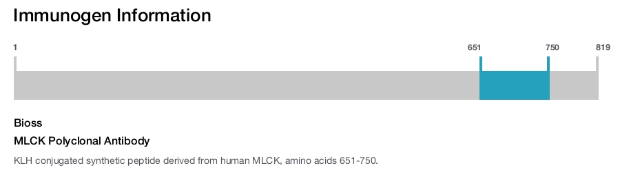MLCK Polyclonal Antibody