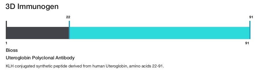 Uteroglobin Polyclonal Antibody