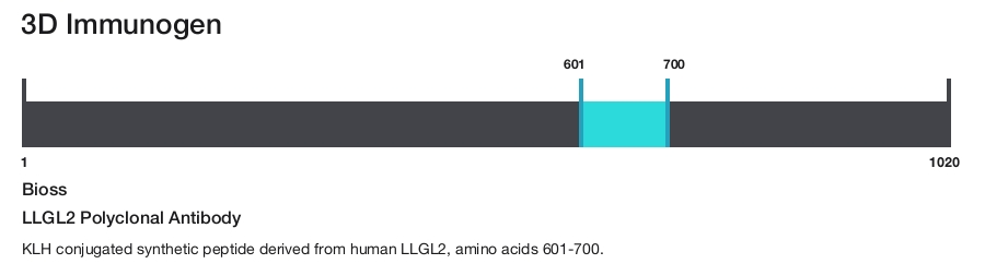 LLGL2 Polyclonal Antibody