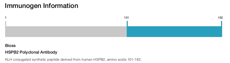 HSPB2 Polyclonal Antibody