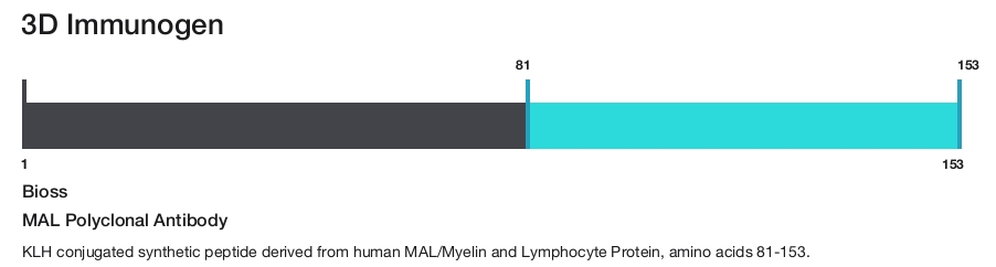 MAL Polyclonal Antibody