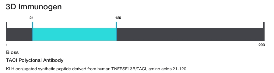 TACI Polyclonal Antibody