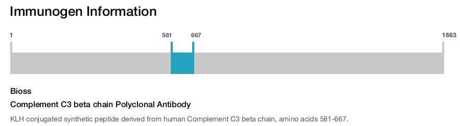Complement C3 beta chain Polyclonal Antibody
