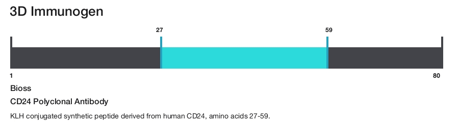 CD24 Polyclonal Antibody