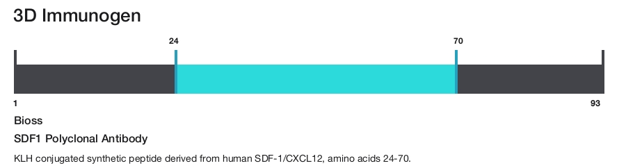 SDF1 Polyclonal Antibody